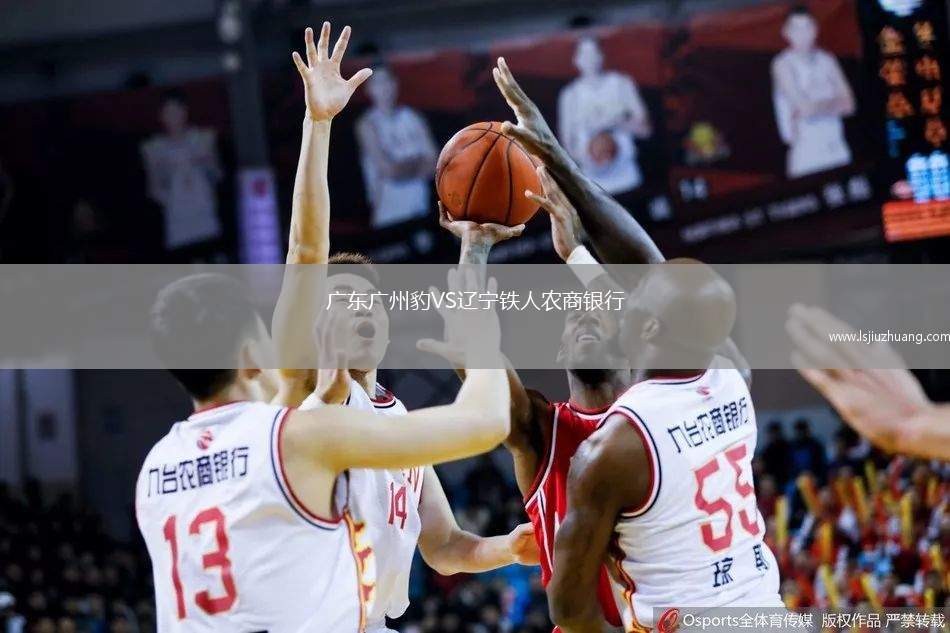 广东广州豹VS辽宁铁人农商银行